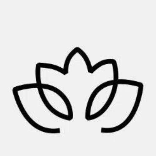 东升国际Logo